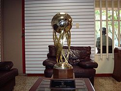 Archivo:Copa campeon 2001