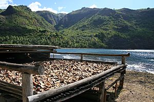 Archivo:Coprah HivaOa 20061112
