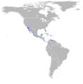 Egretta rufescens map