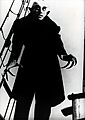 Film Nosferatu (van F, SFA008003709