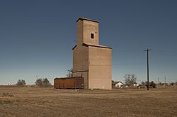 Floydada Texas Marshall Grain Elevator.jpg