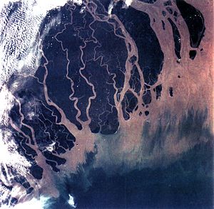 Archivo:Ganges River Delta, Bangladesh, India