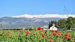 Iglesia de Gabia Chica y Sierra Nevada.jpg