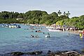 Isla Iguana Panama