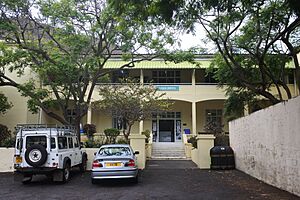 Archivo:Jamestown hospital (27139331258)