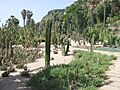 Jardins Mossèn Costa i Llobera, vista general