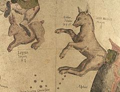 Archivo:Lepus et Canis Major - Mercator