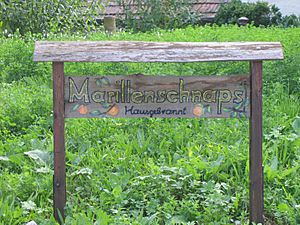 Archivo:Marillenschnapsreklame