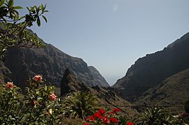Masca (Buenavista del Norte, Tenerife)