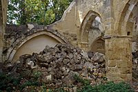 Archivo:Monasterio de San Salvador de Nogal 05 by-dpc