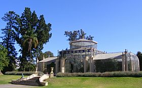 Palm house, Adelaide Botanic Gardens - oblique.JPG