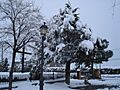 Parque Nevado en Polícar