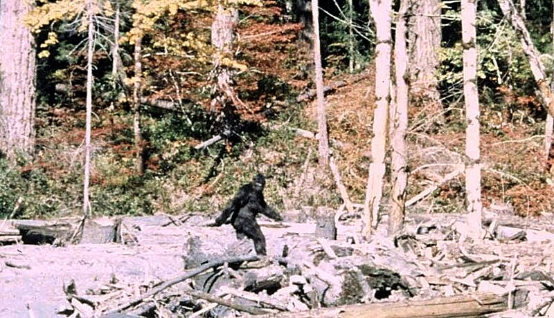 Patterson Gimlin Bigfoot