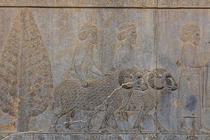 Archivo:Persépolis, Irán, 2016-09-24, DD 51