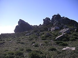 Pico Aljibe - panoramio.jpg