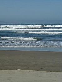 Playa Ritoque Chile.jpg