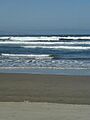 Playa Ritoque Chile