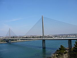 Ponte dell'Iroise - Brest.JPG