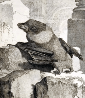 Archivo:Pteropus subniger