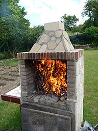 Archivo:Quemando sarmientos en chimenea para asar