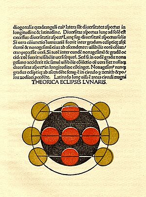 Archivo:Ratdolt sphaericulum