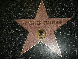 Archivo:Stallone-Hollywood-Star