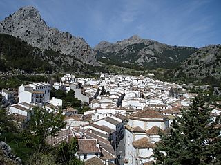 TejadosGrazalema.jpg