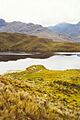 Una laguna en el cajas