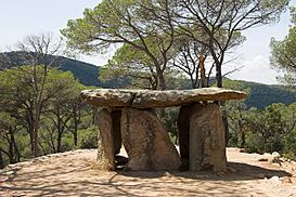 Vallgorguina-dolmen-6944-01.jpg