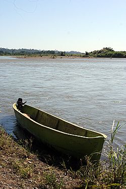 Vista río Sixaola.jpg