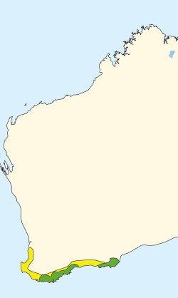 Distribución del perico terrestre occidental en el este de Australia, en amarillo extensión histórica en verde la actual.