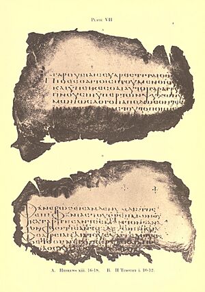 Archivo:016 (GA) Sander's facsimile, Plate VII