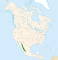 Arbutus arizonica range map