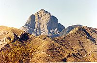 Archivo:Baboquovari, Sonoran Desert