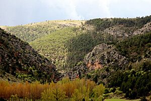 Archivo:Barranco salero 2