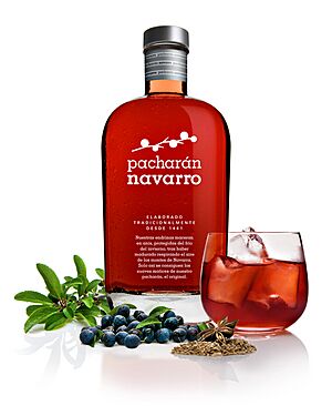 Archivo:Botella del Consejo Regulador de Pacharán Navarro