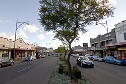 Camden NSW 2570, Australia - panoramio (12).jpg