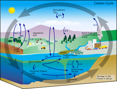 Archivo:Carbon cycle-cute diagram