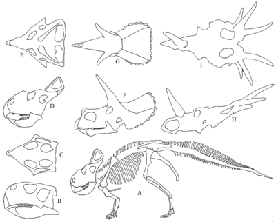 Archivo:Ceratops