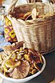 Cesto di funghi