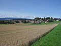Chavannes-le-Chêne