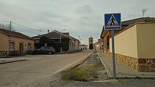 Ciruelos de Coca 3.jpg