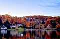 Cold Spring Harbor Laboratory