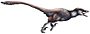 Dakotaraptor wiki (white background).jpg
