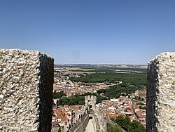 Detalles del Castillo de Peñafiel