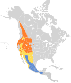 Distribución geográfica del mosquero oscuro.