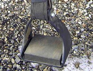 Archivo:EnduranceStirrup