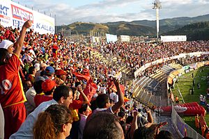 Archivo:Estadiolibertad2010