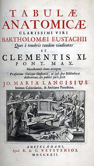 Archivo:Eustachi Tabulae Anatomicae title