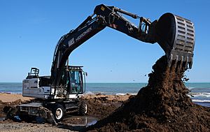 Archivo:Excavator Postiguet Beach 2